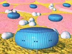 Working of microbivores